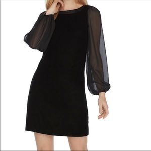 WHBM - Long Sleeve Velvet Shift Dress 8